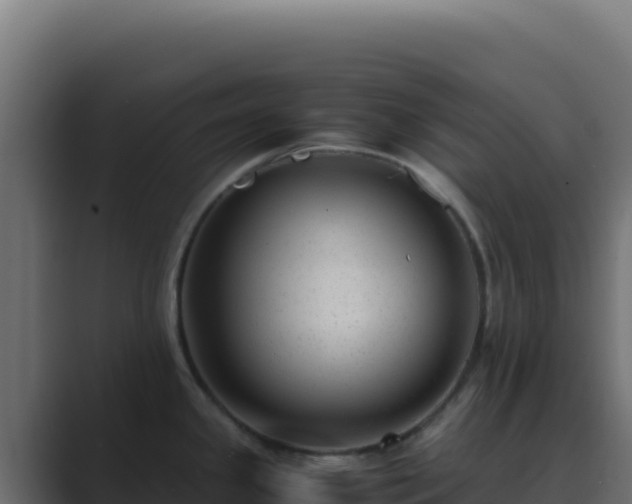 X0000089751341200706281619