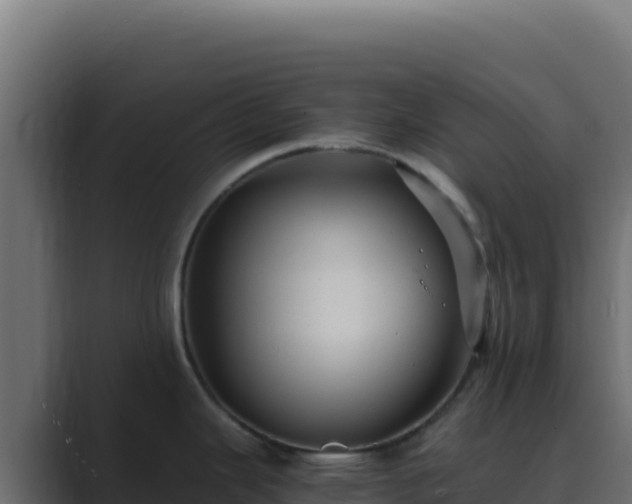 X0000089751343200706281619