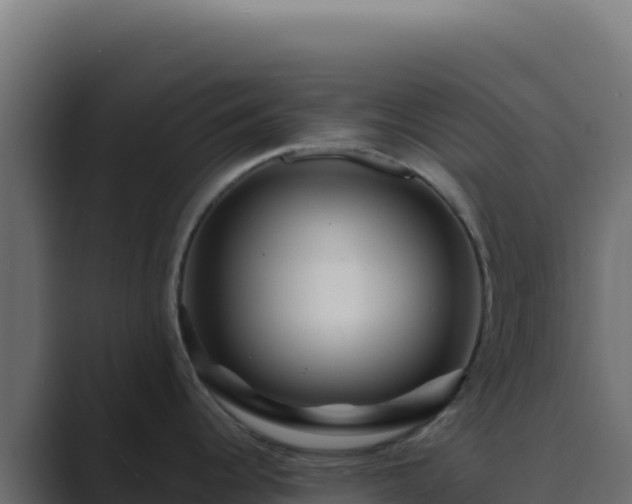 X0000089751344200706281619