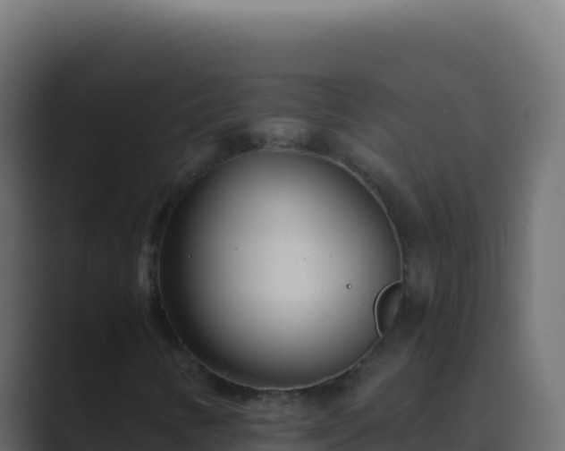 X0000089751346200706281618