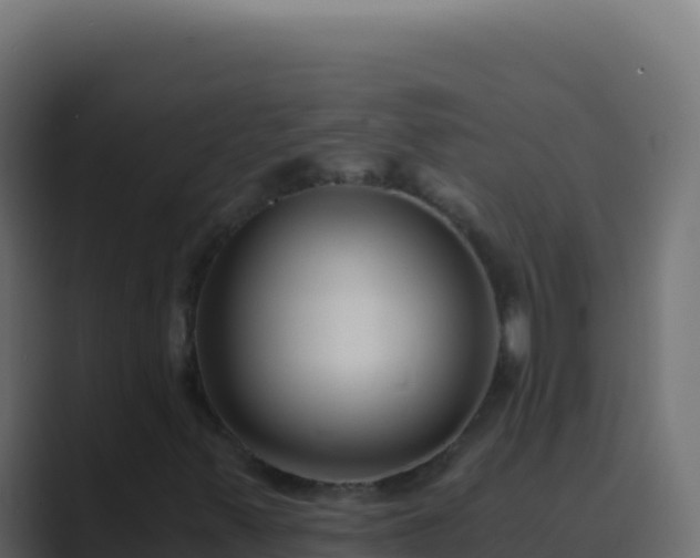 X0000089751347200706281618