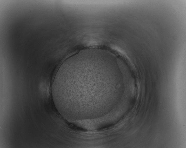 X0000089751348200706281618