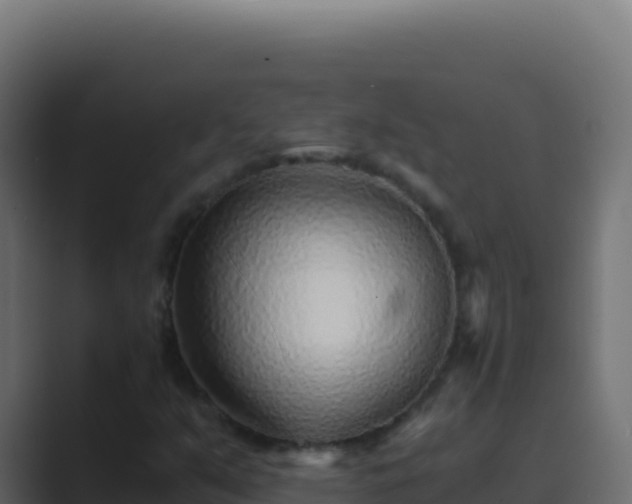 X0000089751351200706281618