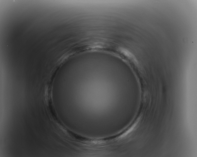 X0000089751353200706281618