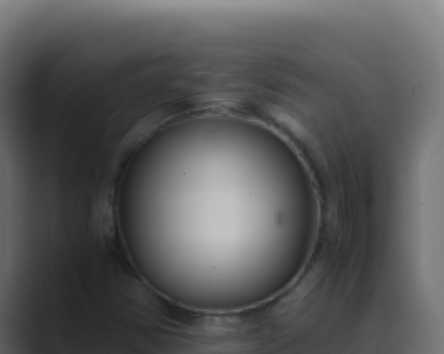 X0000089751354200706281618