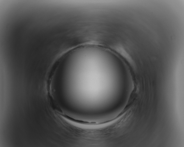 X0000089751356200706281618