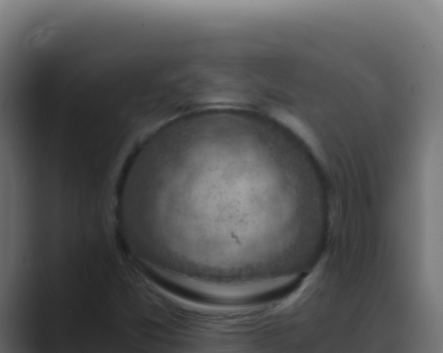 X0000089751357200706281618