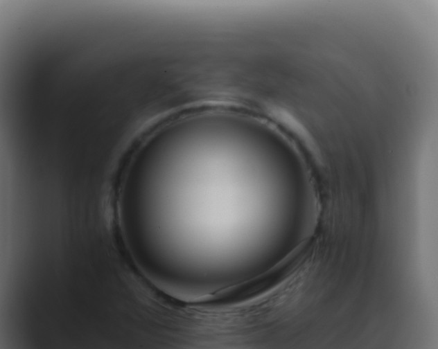 X0000089751360200706281618