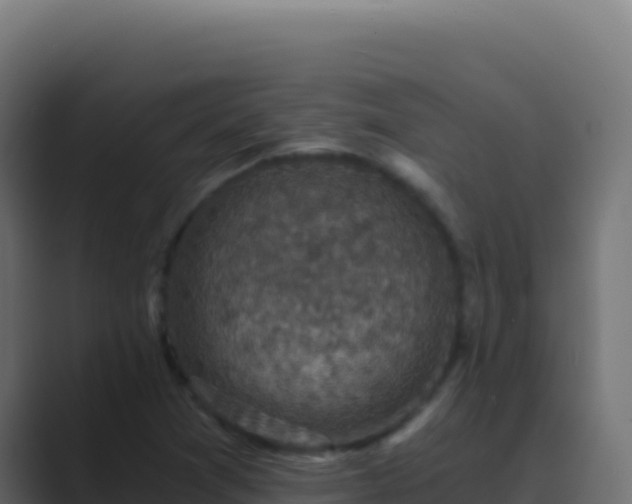 X0000089751361200706281618