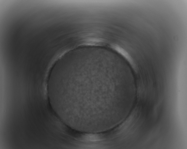 X0000089751362200706281618