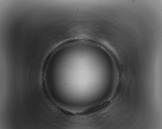 X0000089751364200706281618