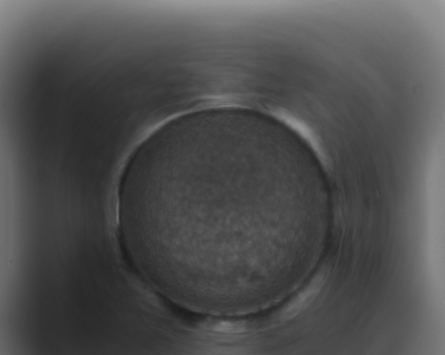 X0000089751365200706281618