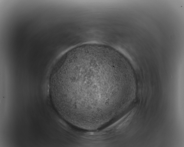 X0000089751367200706281618