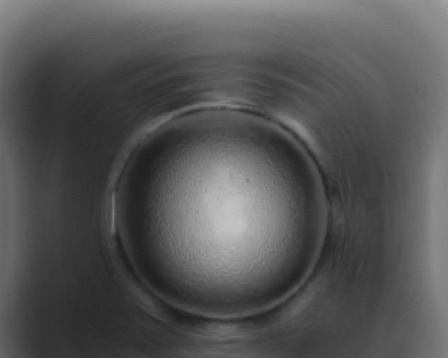 X0000089751371200706281618
