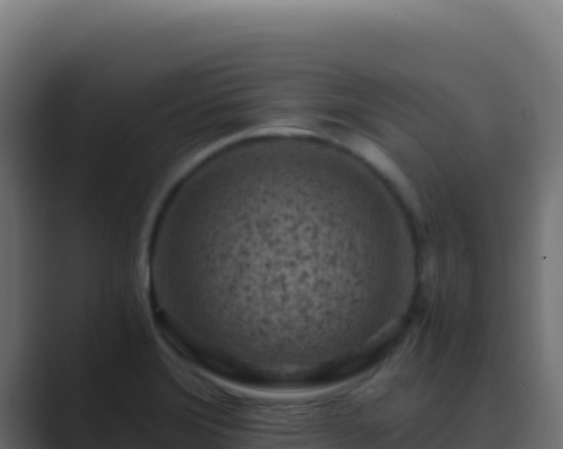 X0000089751372200706281618