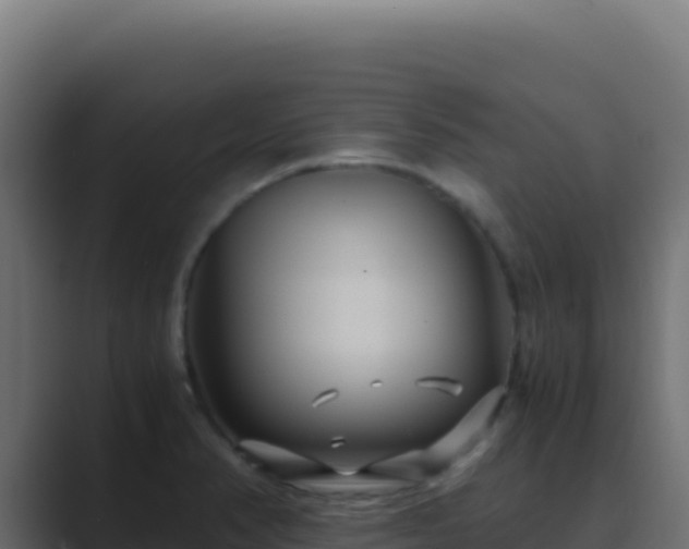 X0000089751374200706281618