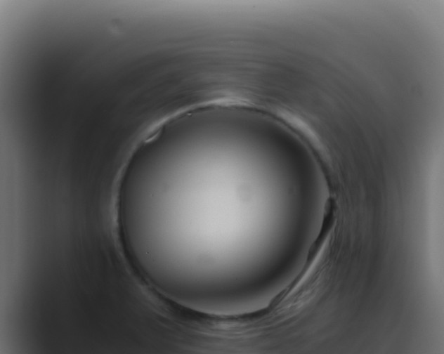 X0000089751375200706281618