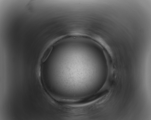 X0000089751376200706281618