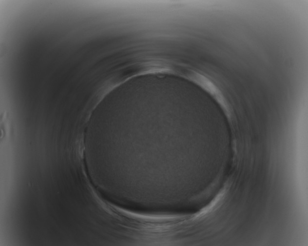 X0000089751377200706281618