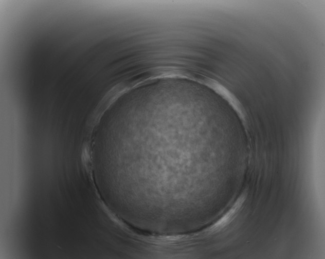 X0000089751385200706281618