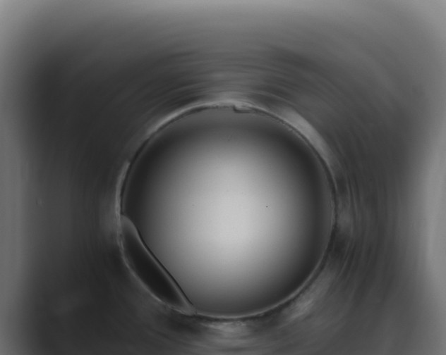 X0000089751388200706281618