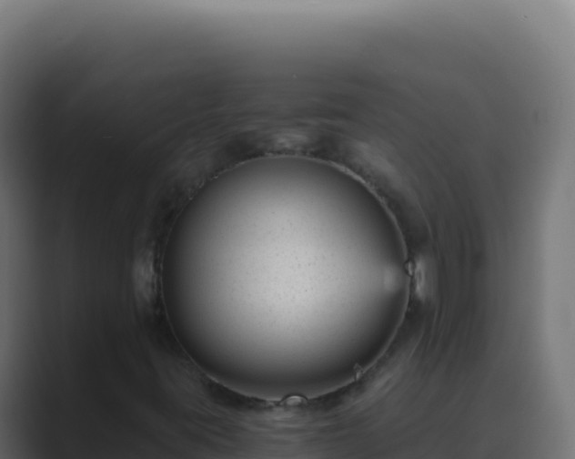 X0000089751395200706281617