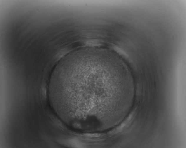X0000089751401200706281617
