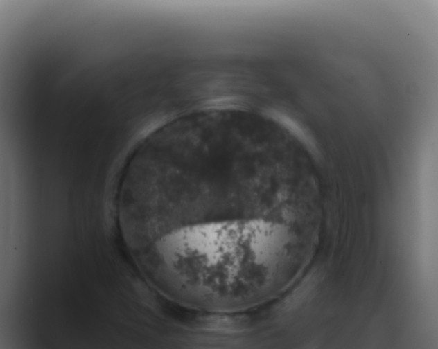 X0000089751405200706281617