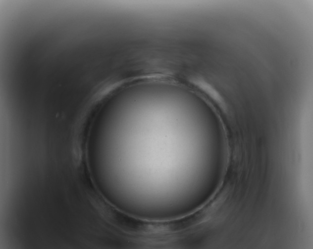 X0000089751407200706281617