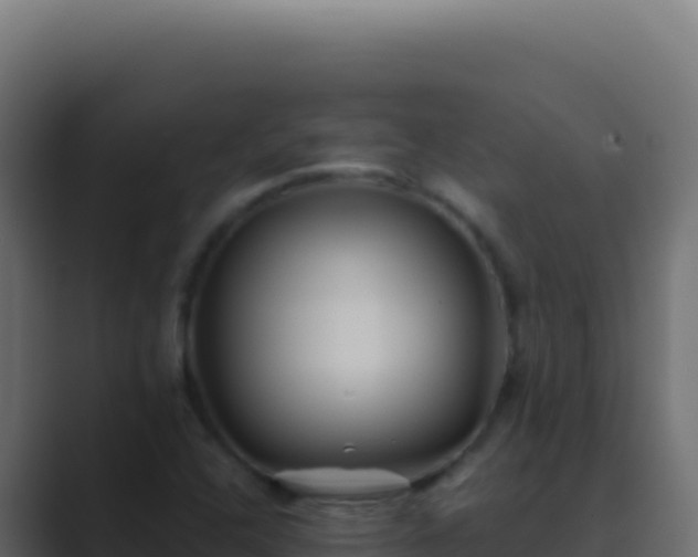 X0000089751408200706281617