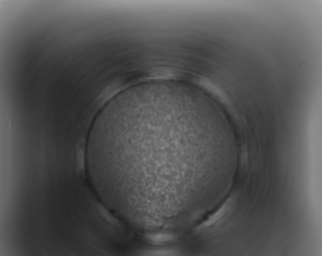 X0000089751409200706281617