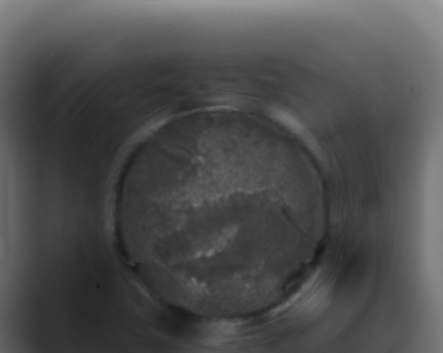 X0000089751411200706281617