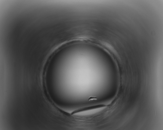 X0000089751412200706281617