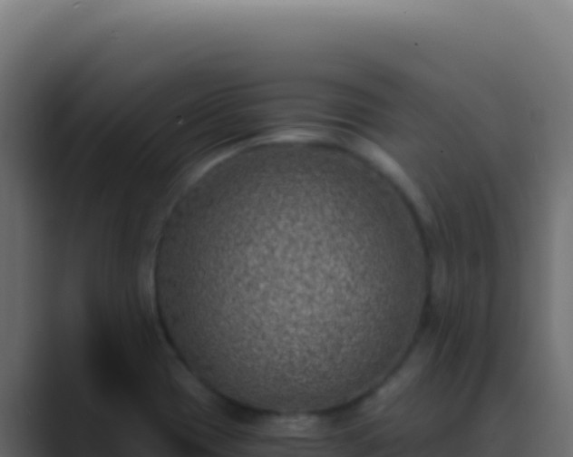 X0000089751417200706281617