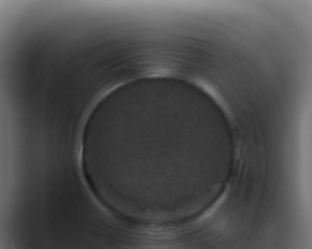 X0000089751418200706281617