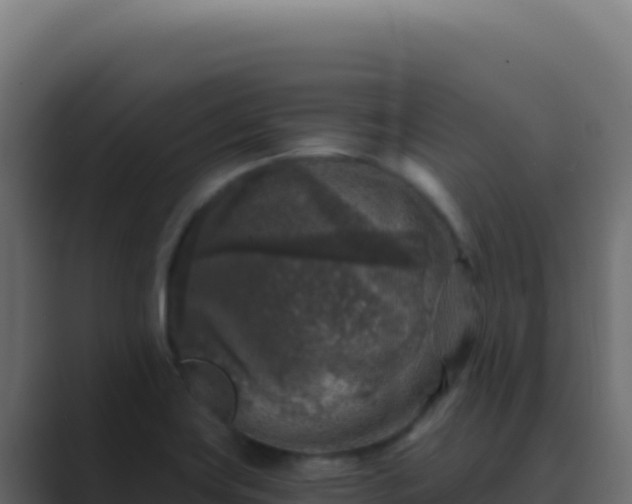 X0000089751419200706281617