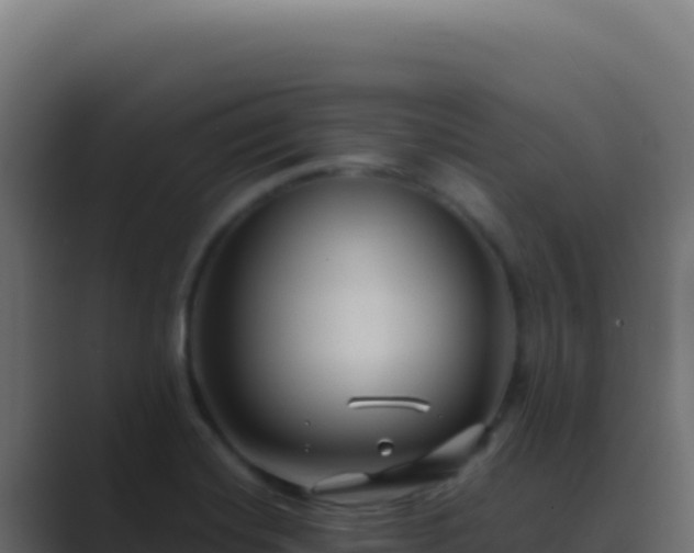 X0000089751420200706281617