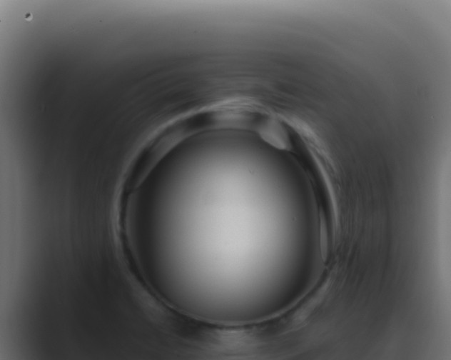 X0000089751422200706281617