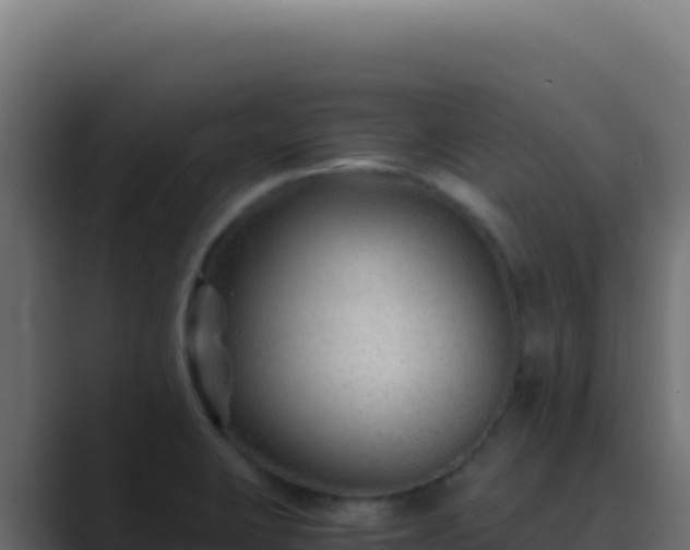 X0000089751423200706281617
