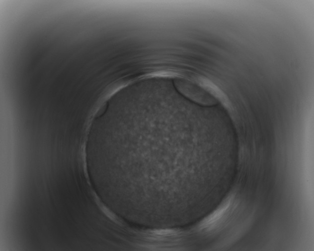 X0000089751425200706281617
