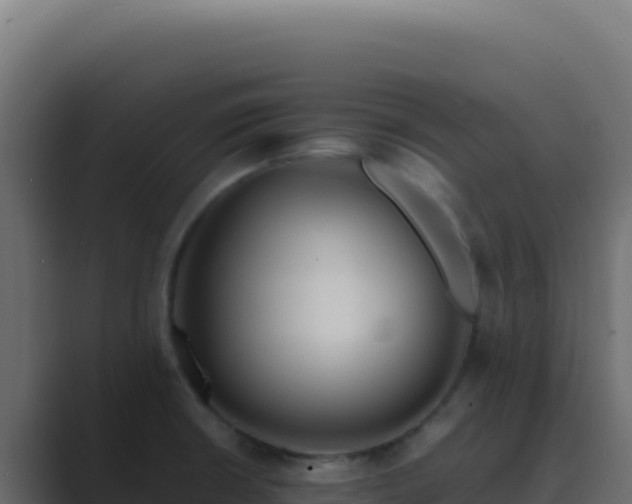X0000089751426200706281617