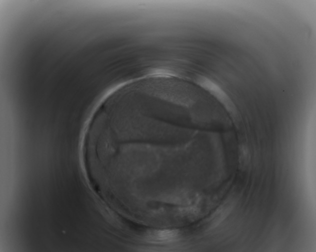 X0000089751427200706281617