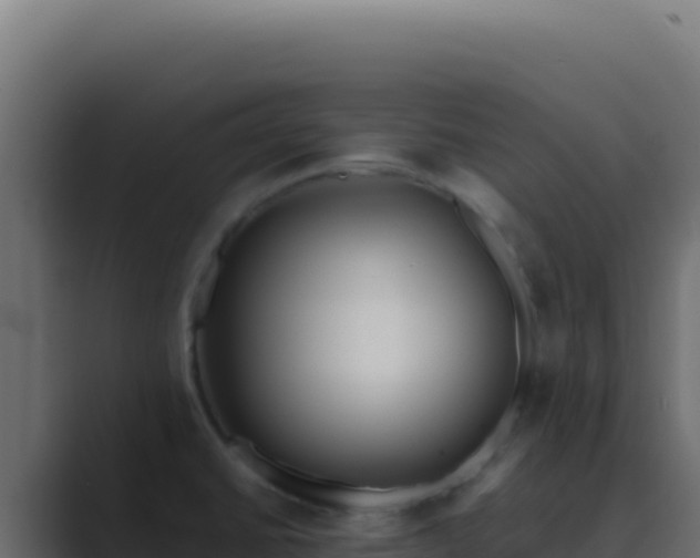 X0000089751430200706281617