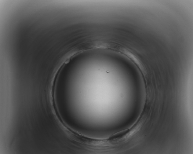 X0000089751434200706281617