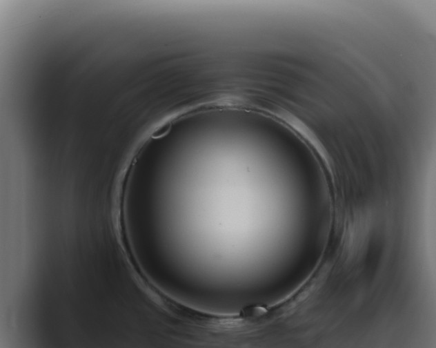 X0000089751437200706281618