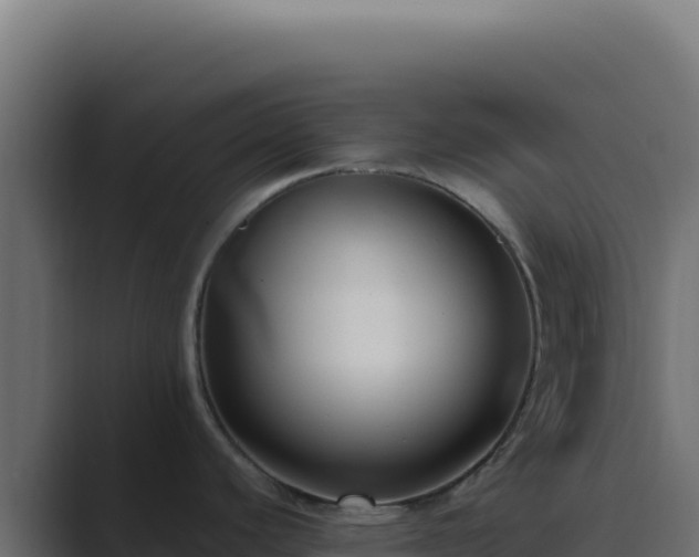 X0000089751440200706281618