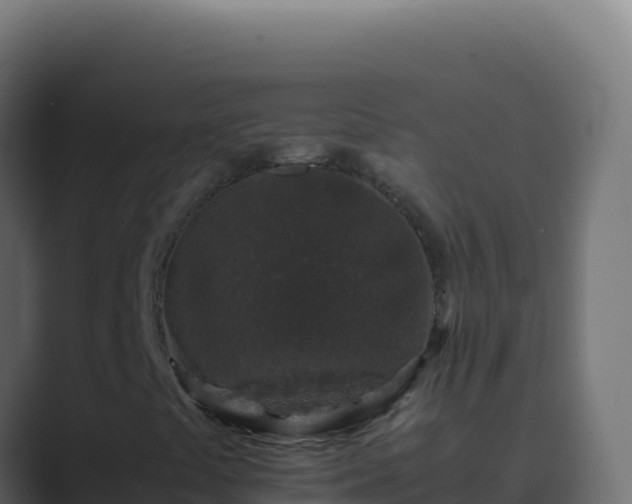 X0000089751441200706281617