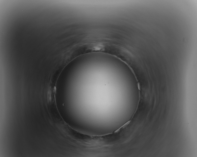 X0000089751442200706281617