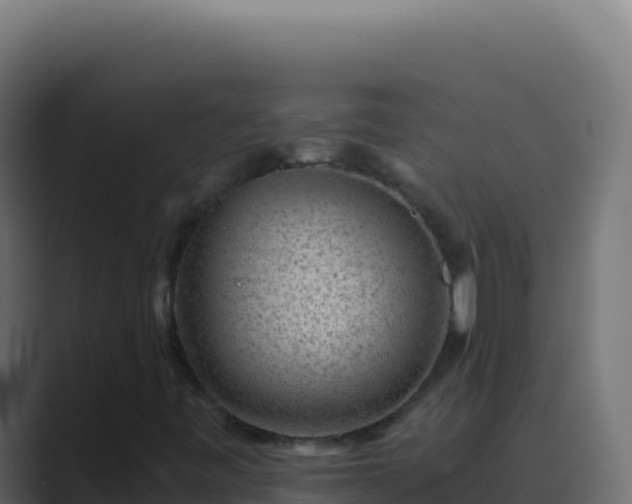 X0000089751443200706281617