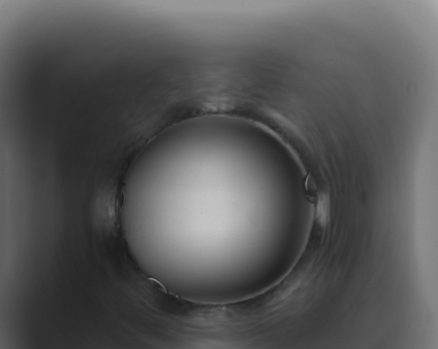 X0000089751444200706281617
